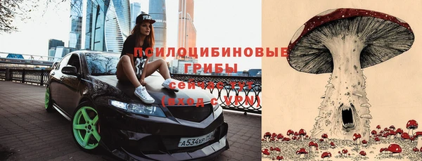 мяу мяу кристалл Дмитров