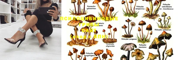 герыч Аркадак