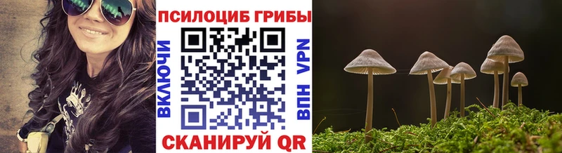 Галлюциногенные грибы ЛСД Цивильск